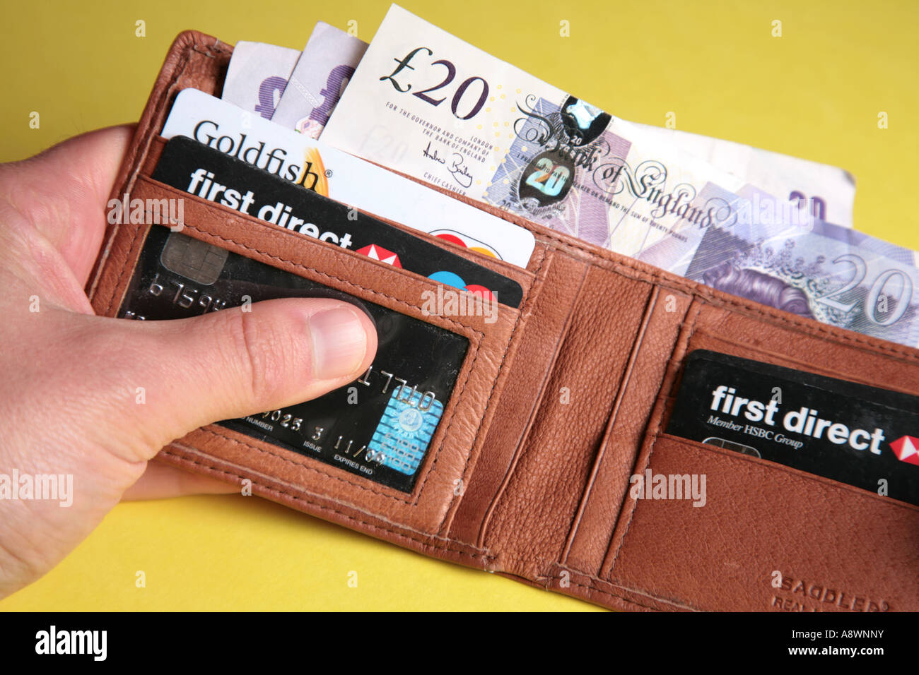 Portafoglio con contanti e carte di credito Foto Stock
