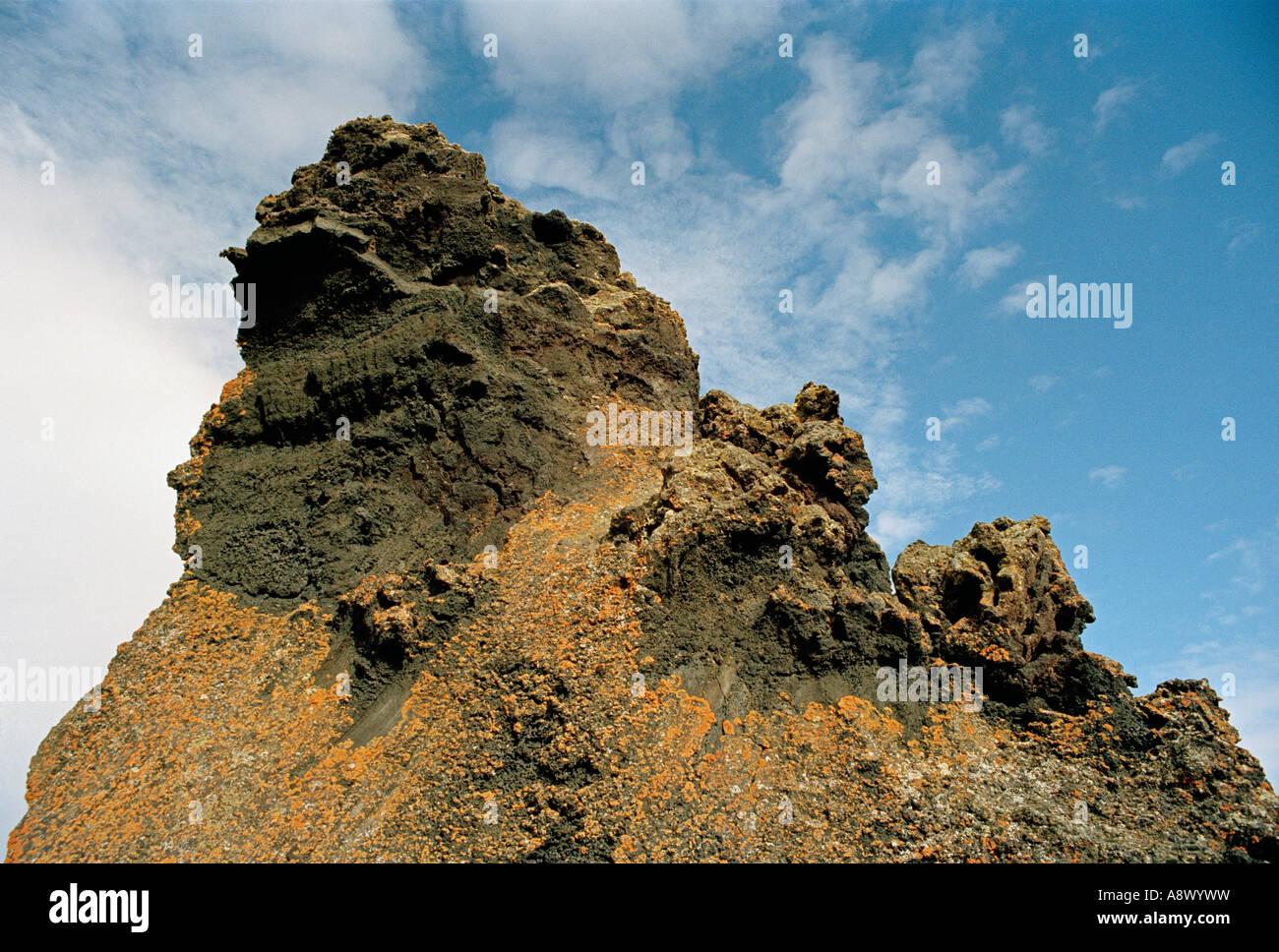 La formazione di lava, Myvatn, nel nord-est dell'Islanda Foto Stock