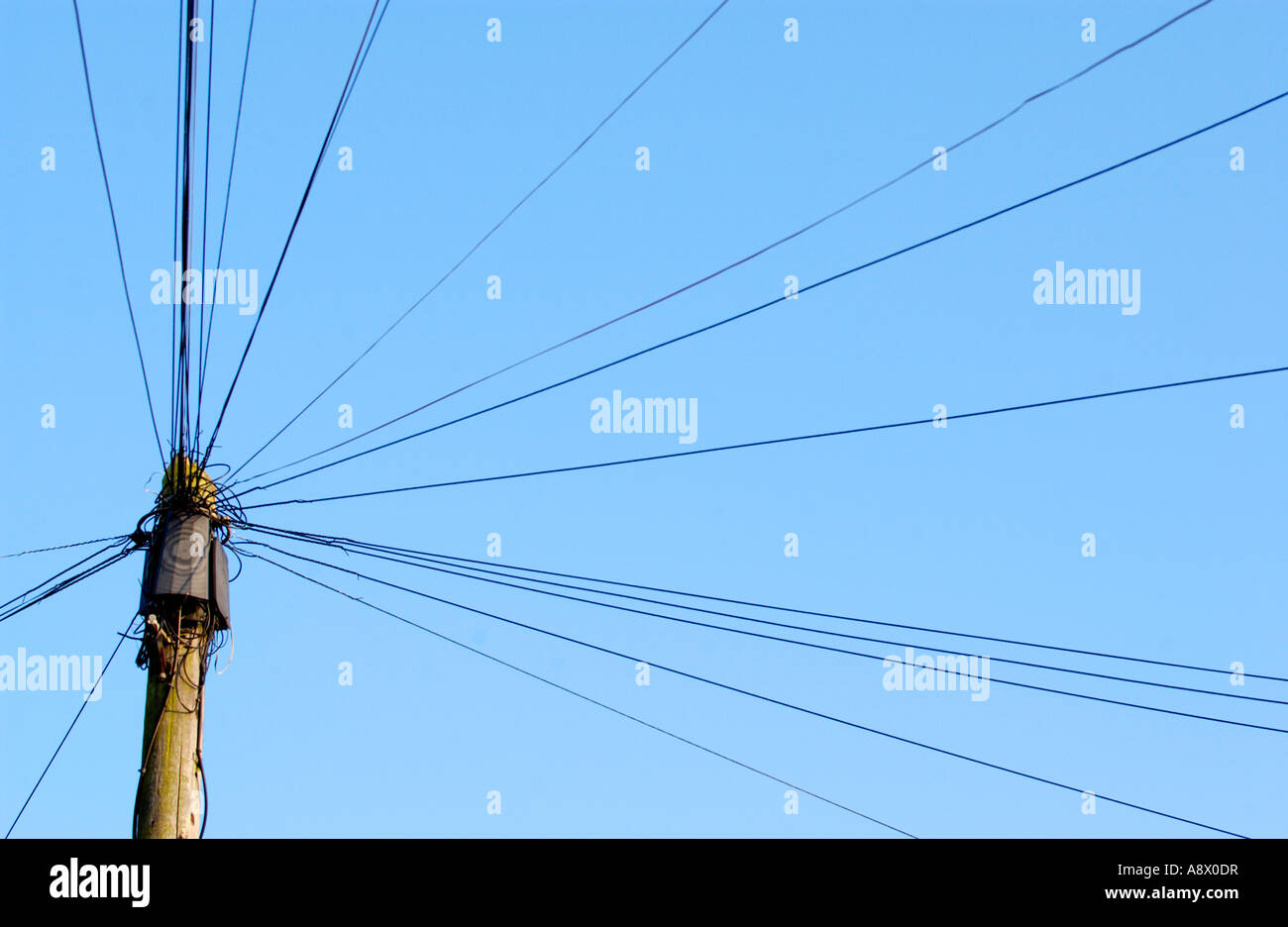 Un'immagine generica di telegrafo polo con le linee telefoniche che si irradiano da esso REGNO UNITO Foto Stock