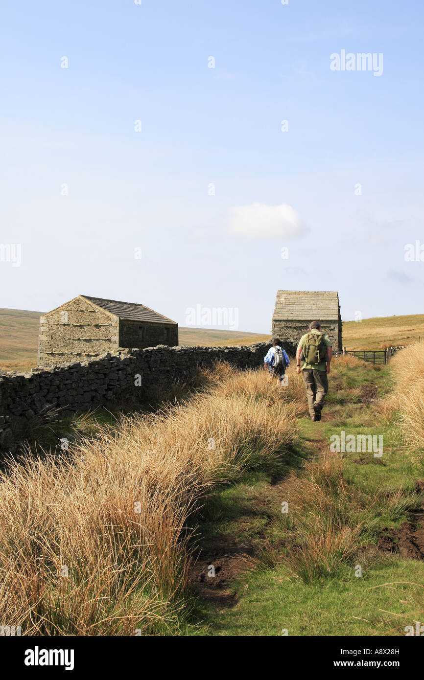 Walkers sul Pennine Way passando da alcuni granai a bassa Brown Moor Swaledale North Yorkshire Foto Stock