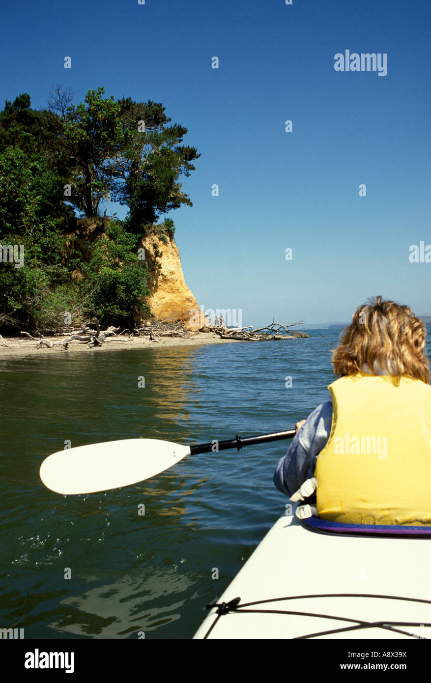 CA california kayaker a Tomales Bay Point Reyes Foto Stock