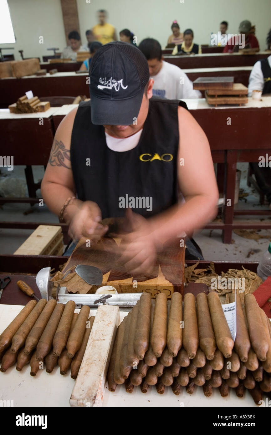Sigari di laminazione a mano nella camera di produzione di una fabbrica di sigari Esteli Nicaragua Foto Stock