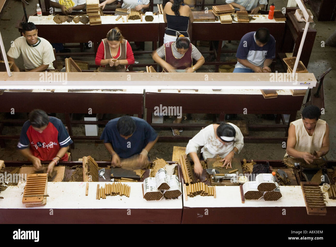 Sigari di laminazione a mano nella camera di produzione di una fabbrica di sigari Esteli Nicaragua Foto Stock