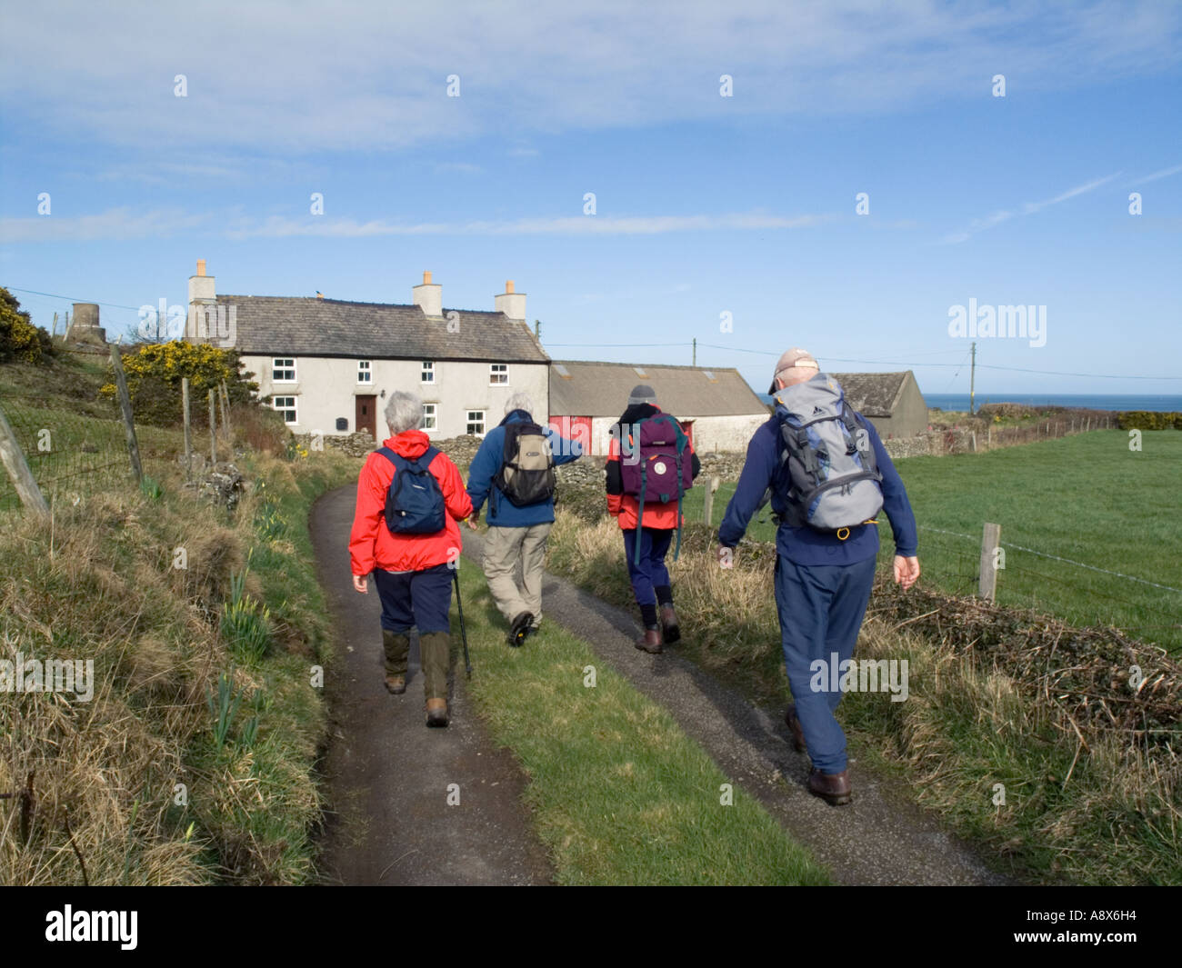 Gruppo di escursionisti su una traccia nel paesaggio rurale a nord di isola in primavera. Bull Bay Isola di Anglesey North Wales UK Foto Stock