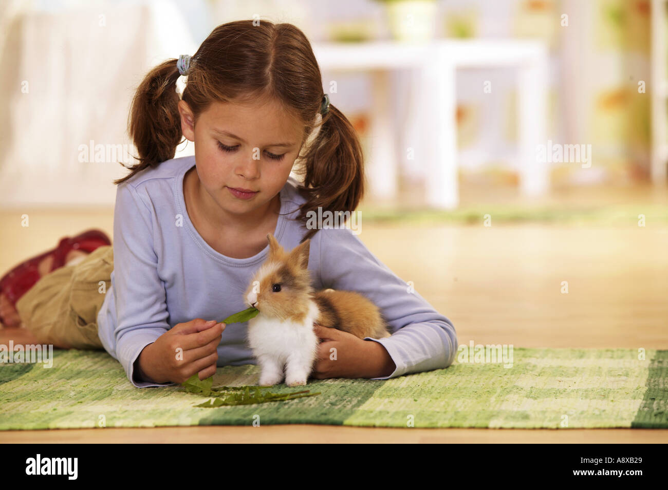 Ragazza alimentando un pigmeo di coniglio con foglie di tarassaco sdraiati su un tappeto Foto Stock