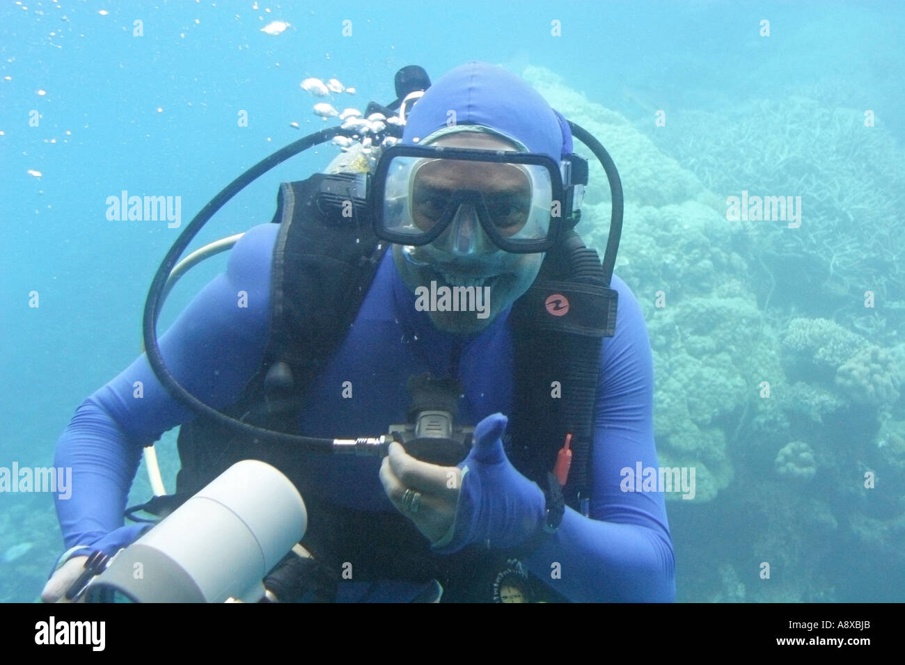 Fotografo subacqueo all'Agincourt reef al largo della costa del Queensland Cairns Australia Foto Stock