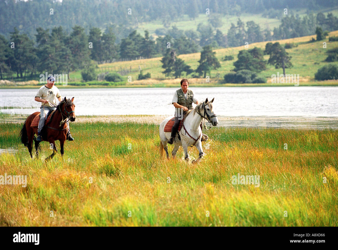 Andare a cavallo presso il Lac du Pecher nella regione di Auvergne della Francia Foto Stock