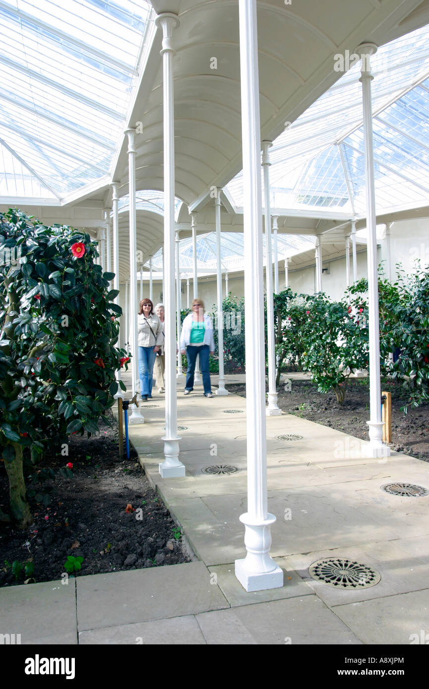 7 aprile 2007 recentemente ristrutturato Wollaton Hall Camellia House, Nottingham East Midlands Foto Stock