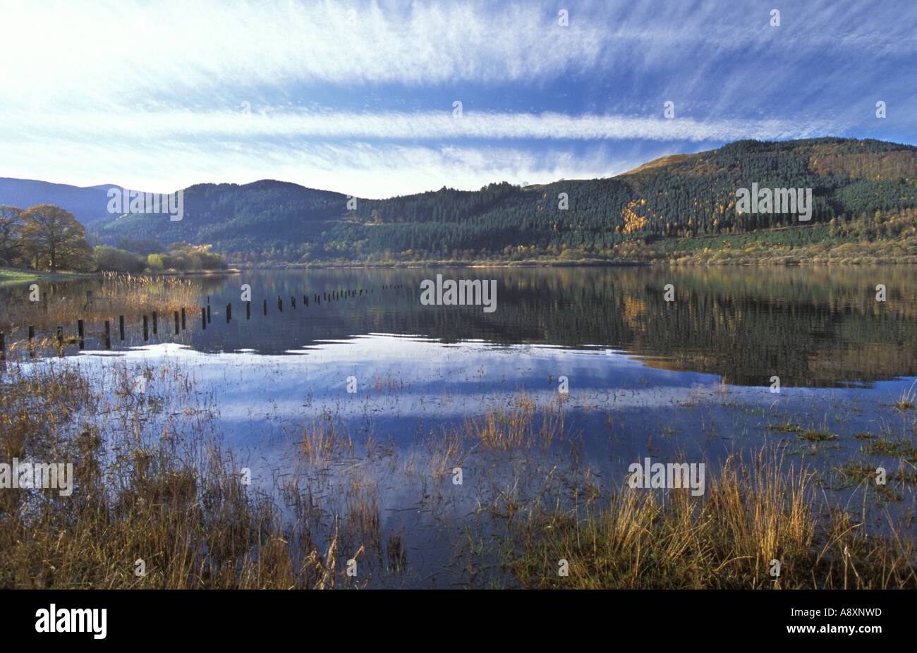 Bassenthwaite Lake SSSI in Cumbria inglese Parco Nazionale del Distretto dei Laghi Foto Stock