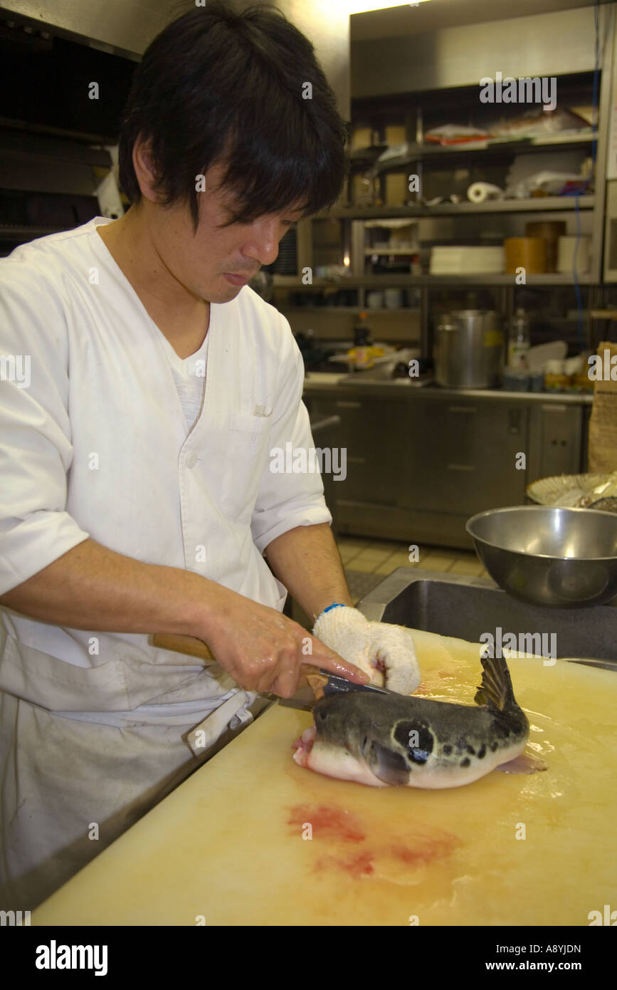 Preparazione di un Fugu blowfish per sashimi in un ristorante giapponese Foto Stock