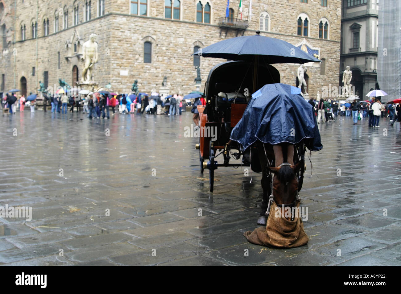 Mangiare cavallo in piazza Italia Foto Stock