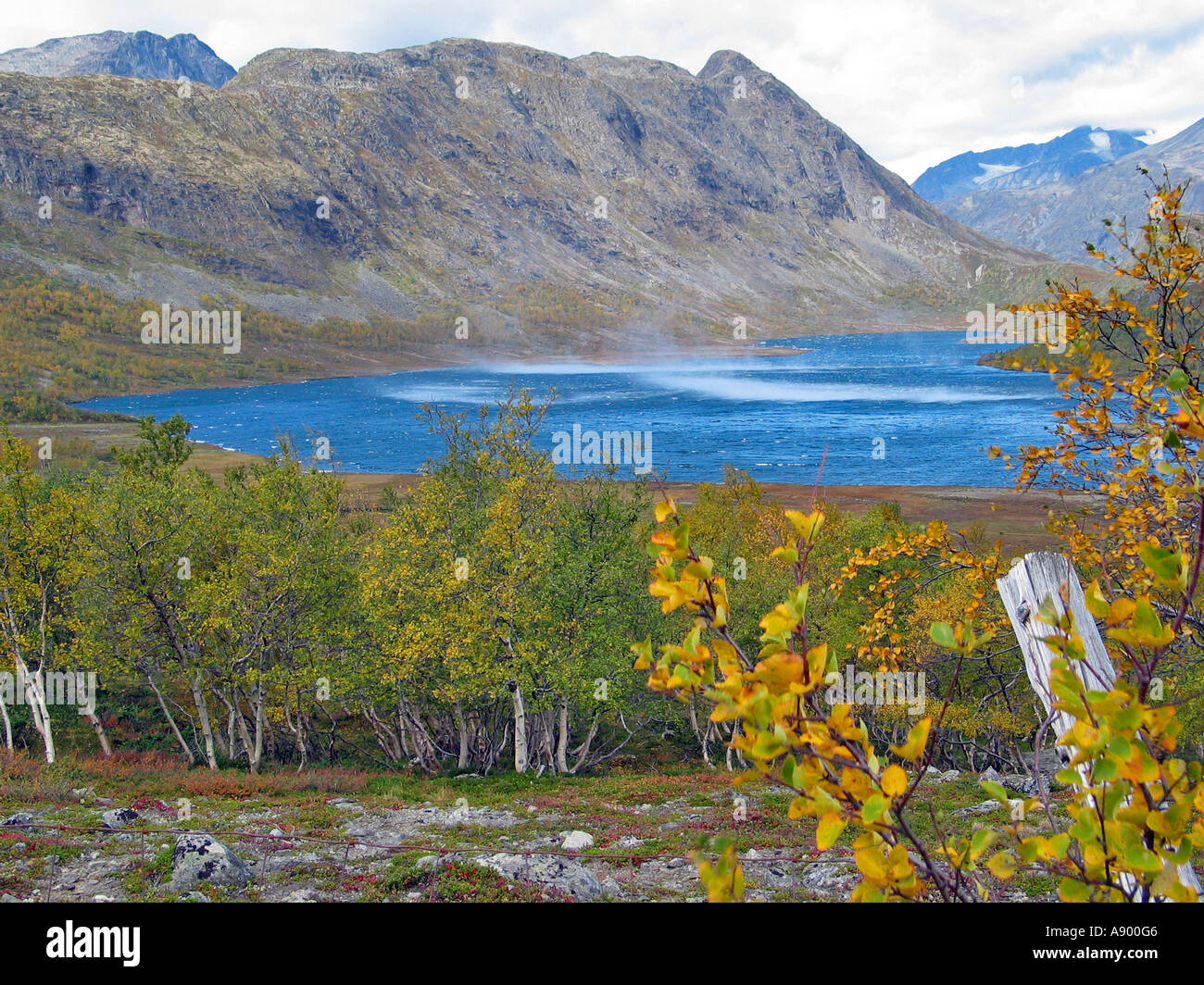 Il vento di riproduzione su un lago in Jotunheimen durante la rotazione delle stagioni / estate indiana, Jotunheimen, Norvegia Foto Stock