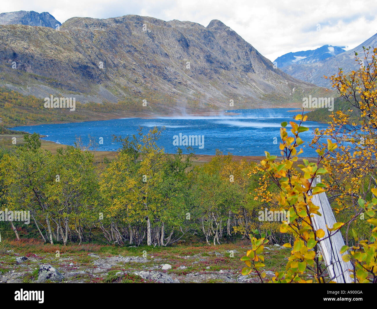 Il vento di riproduzione su un lago in Jotunheimen durante la rotazione delle stagioni / estate indiana, Jotunheimen, Norvegia Foto Stock