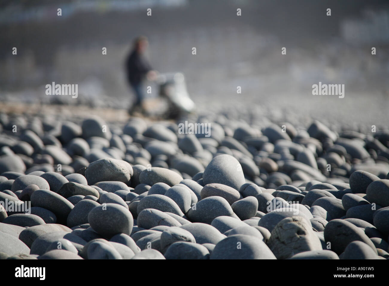 Ciottoli giganti sulla spiaggia di Condino Devon England Foto Stock