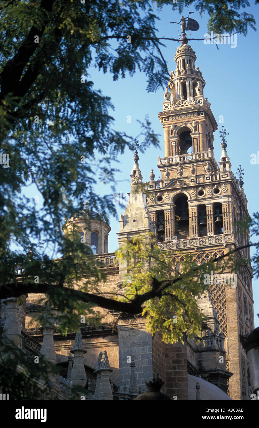 La torre Giralda di Siviglia Cattedrale di Siviglia Andalusia Andalusia Spagna Foto Stock