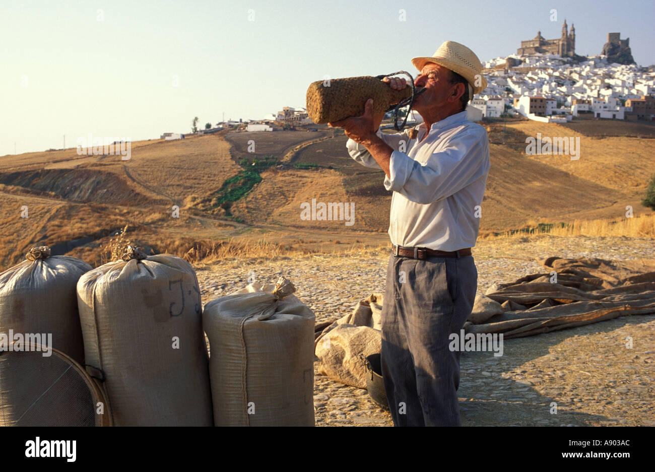 Il contadino si beve vino Olvera la provincia di Cadiz Cadice Andalusia Andalusia Spagna Foto Stock