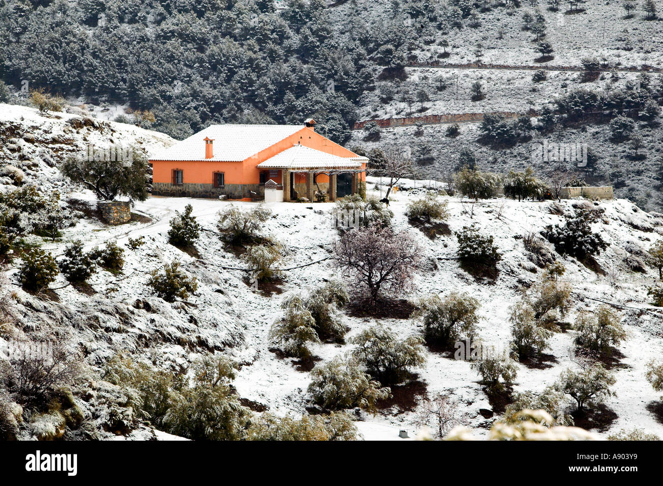 Parque Natural de las Sierras de Tejeda y Almijara. Andalusia. Spagna Foto Stock