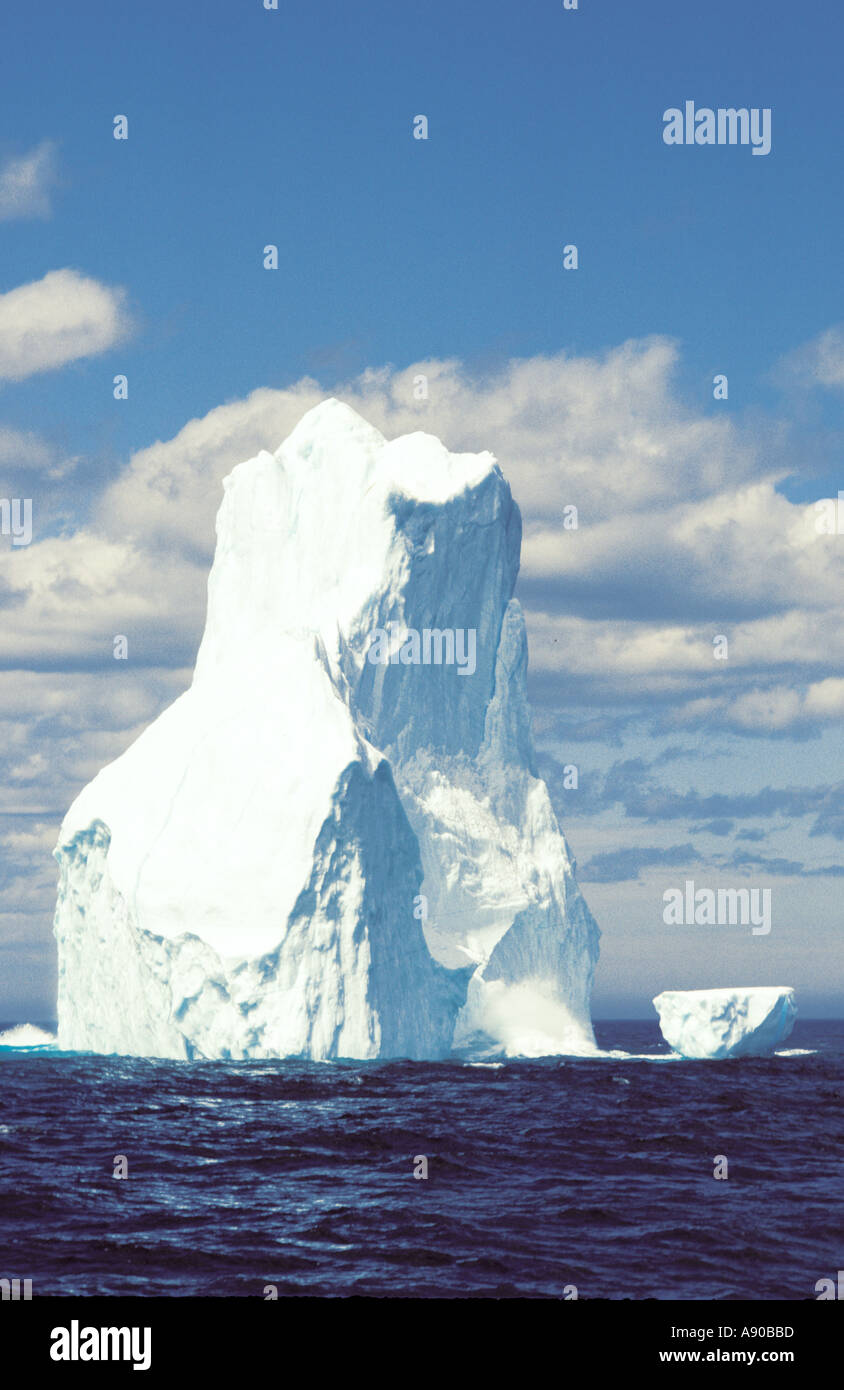 Witless bay riserva ecologica di Terranova Foto Stock