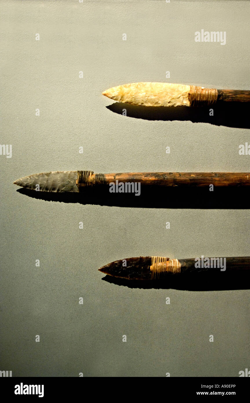 Clovis lancia punti Foto Stock