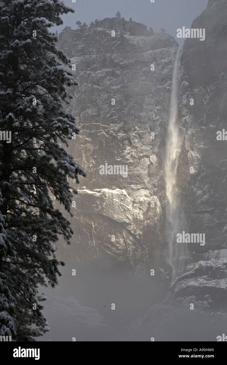 Superiore di Yosemite Falls in inverno la neve illuminata da un albero della luce solare Foto Stock