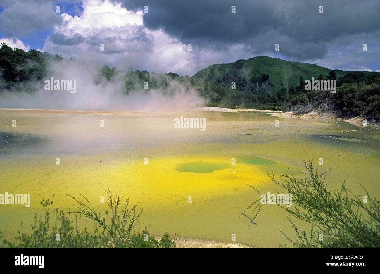 Nuova Zelanda Isola del nord vicino a Rotorua Waiotapu area termale piscine chamgane lago termale Foto Stock