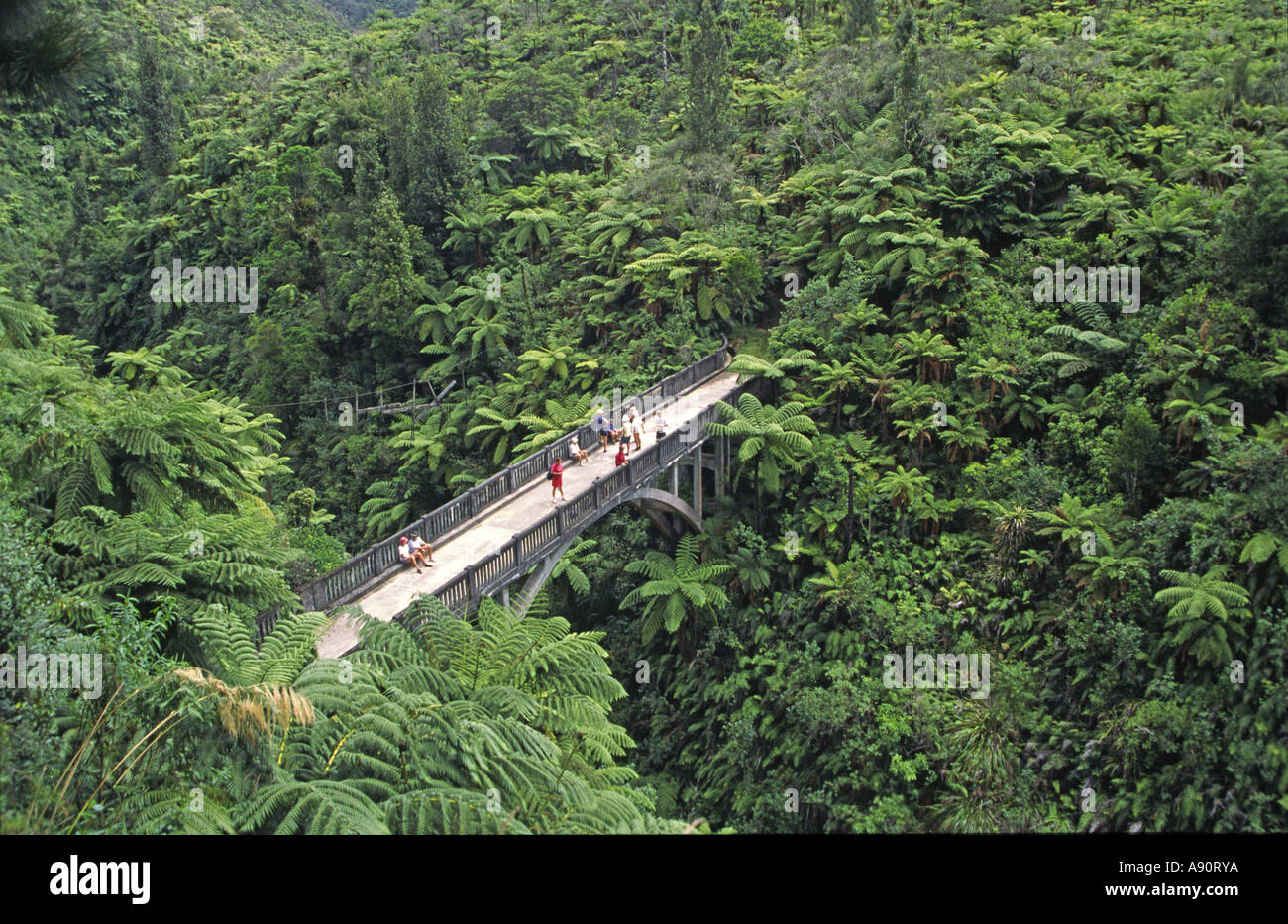 Nuova Zelanda bridge to Nowhere Whanganui National Park build 1917 Foto Stock