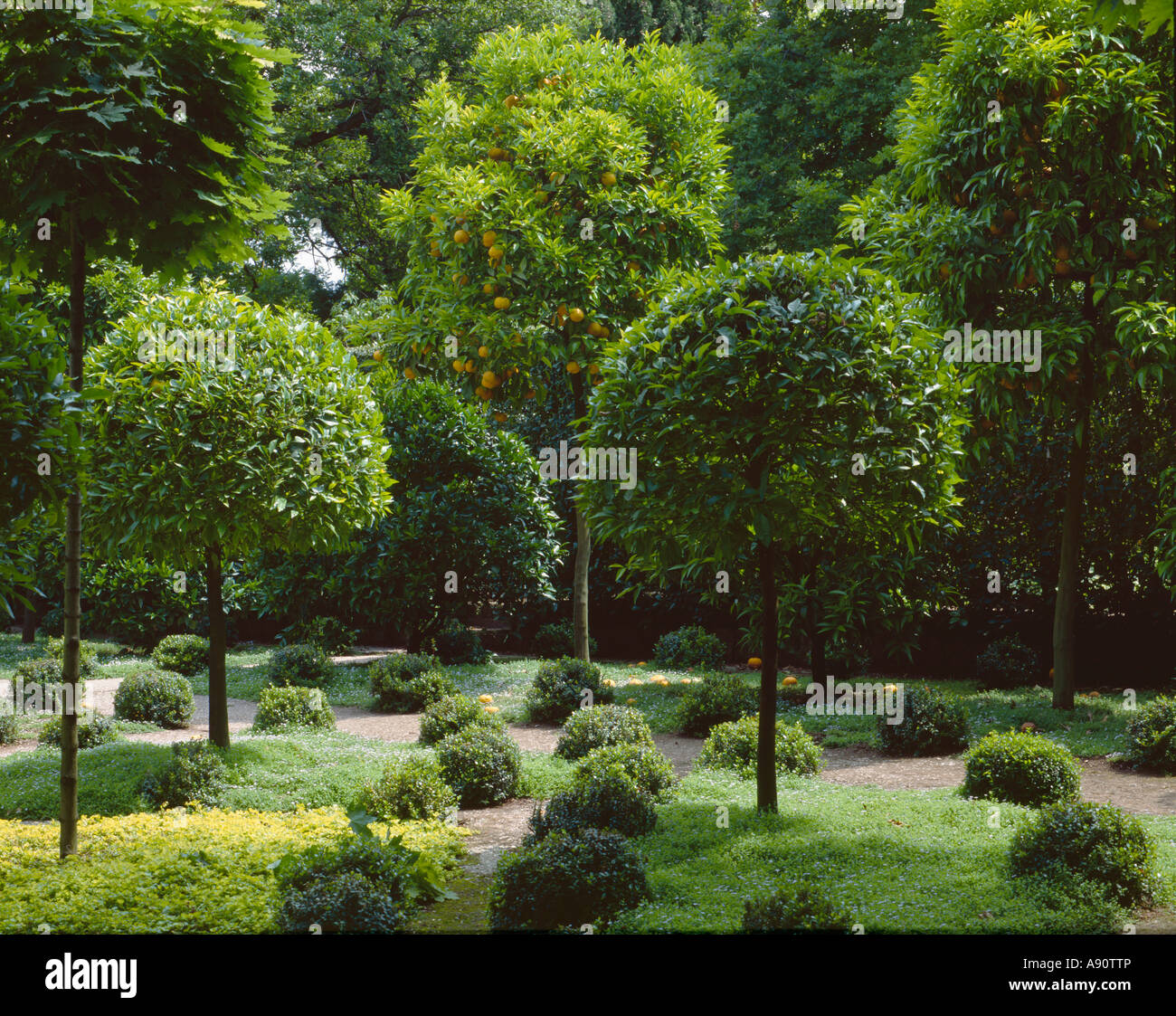 I romantici giardini di Villa La Landriana (Giardini della Landriana), Roma, Italia. La Orange Garden disegnato da Russell Page negli anni cinquanta Foto Stock