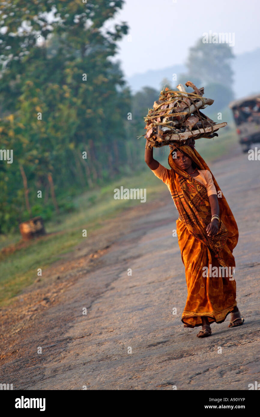 Donna di legno portante sulla sua testa, India Foto Stock