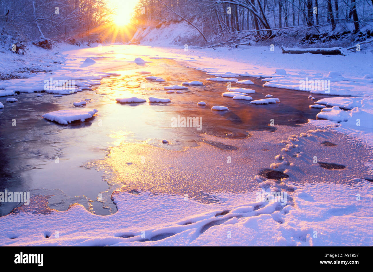 Inverno alba sopra la coperta di neve medio Forcella del Fiume Vermiglio un National Scenic River Kickapoo membro Park Illinois Foto Stock
