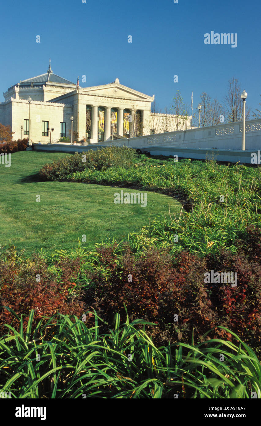 John G Shedd Aquarium di Chicago in Illinois Foto Stock