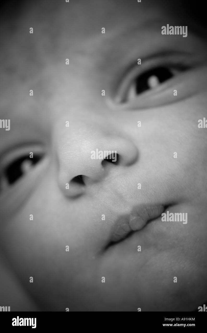 Close up di 1 giorno di età baby Foto Stock
