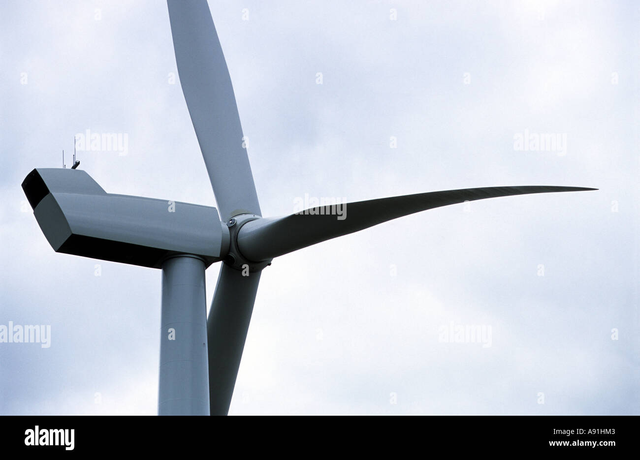 NEG Micon 2,75 megawatt (MW) turbina eolica, alta tensione wind farm, Hartlepool, County Durham, Regno Unito. Foto Stock