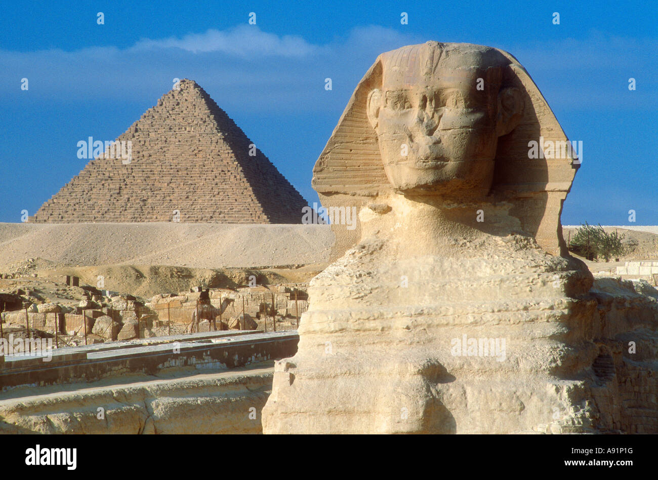 Grande Sfinge e piramide Mankaura Giza Egitto Foto Stock