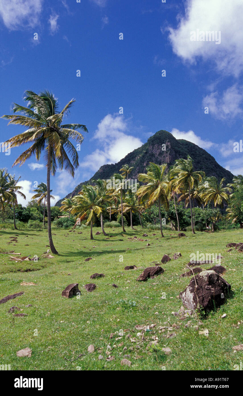 Caraibi, BWI, Santa Lucia, vedute panoramiche lungo i Pitons sentiero naturale. Foto Stock