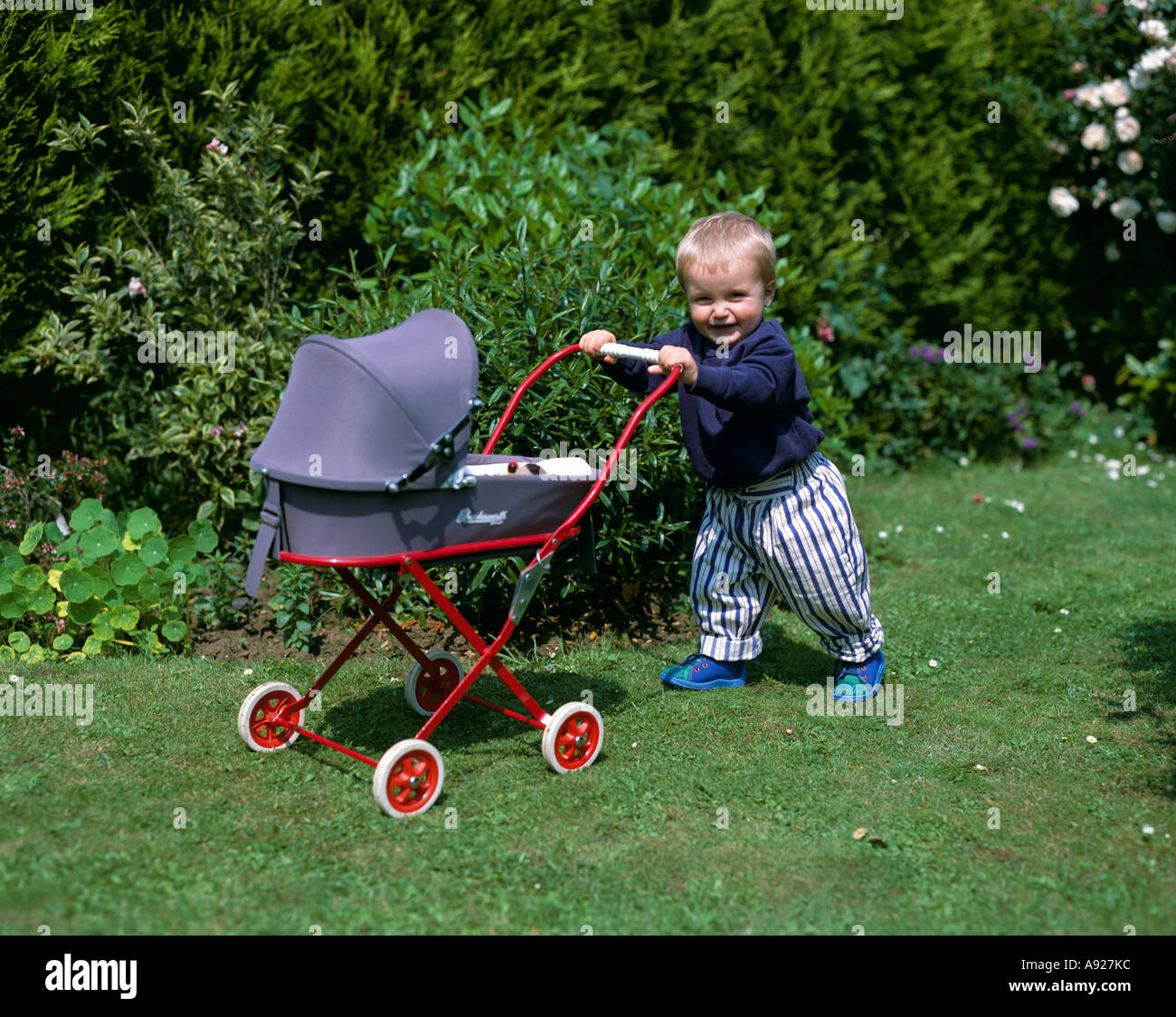 Ragazzo bambino di età compresa tra circa tre anni 3 spingendo un giocattolo pram in giardino Foto Stock