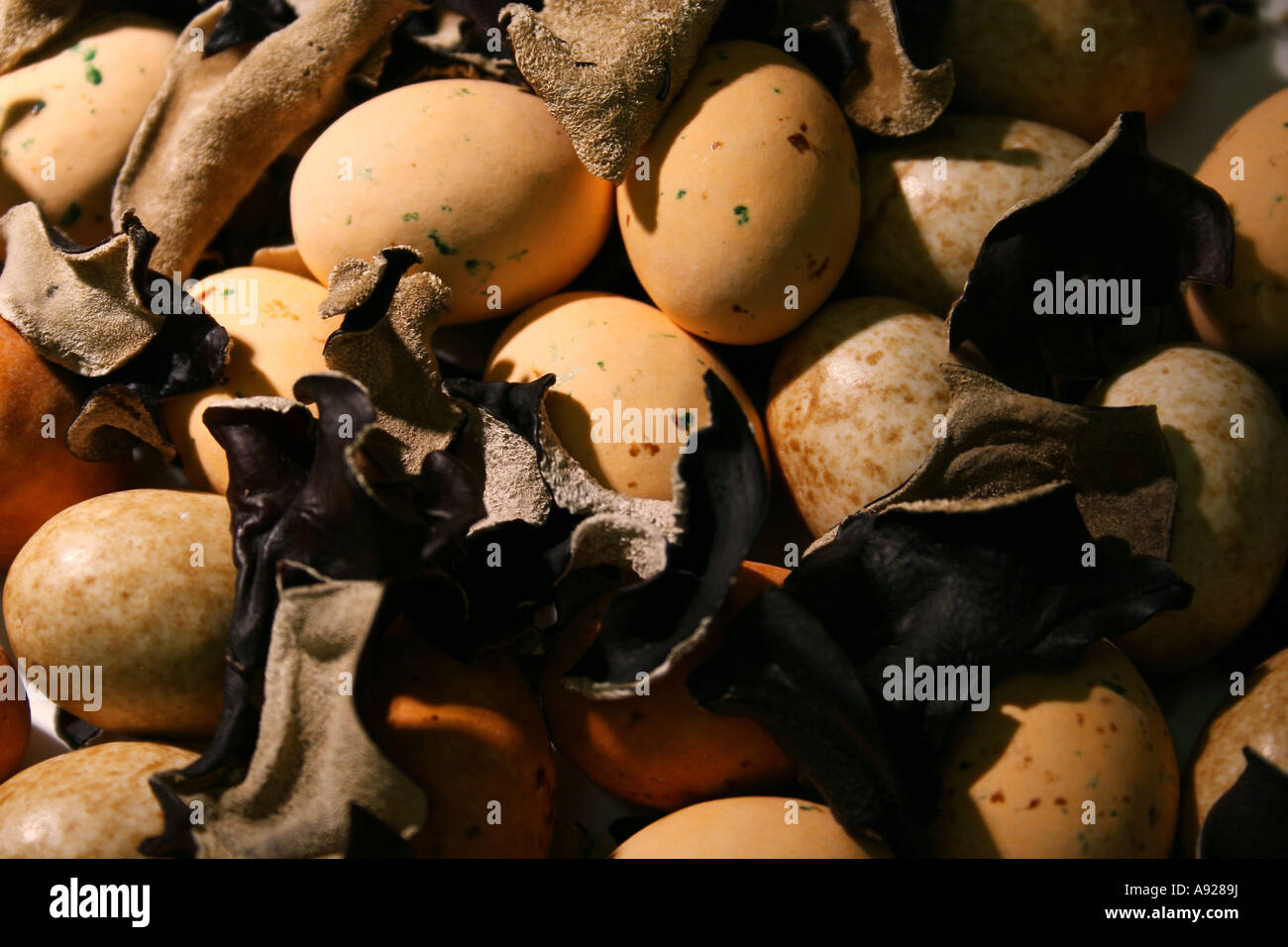 Le uova di Pasqua di cioccolata e cloud orecchio fungo Auricularia polytricha Foto Stock