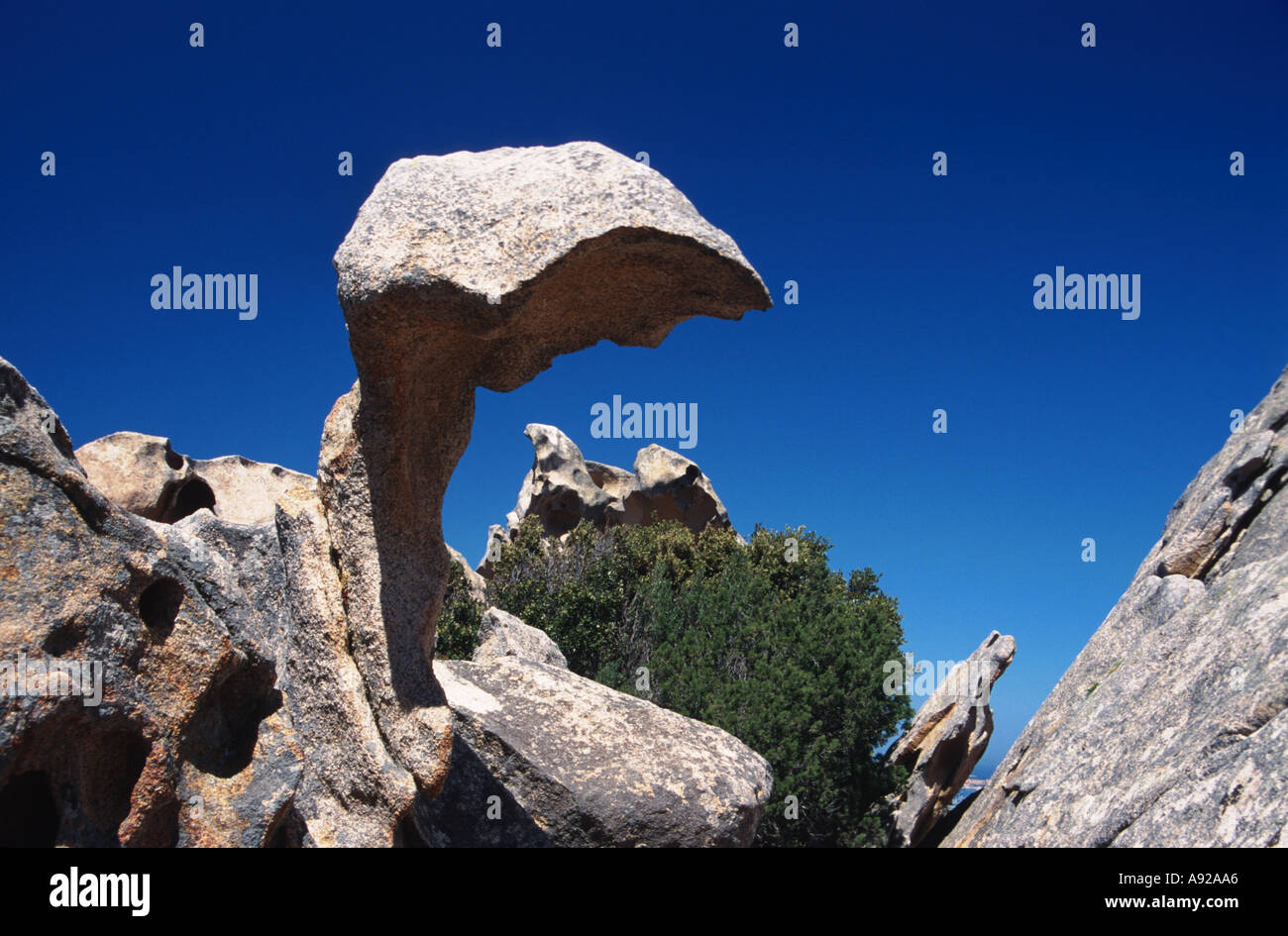 Italia Sardegna Costa Smeralda Palau il turtle rock al Capo d Orso Foto Stock