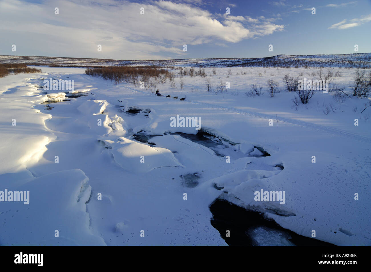 Inverno, dogsledding, Norvegia, Europa Foto Stock