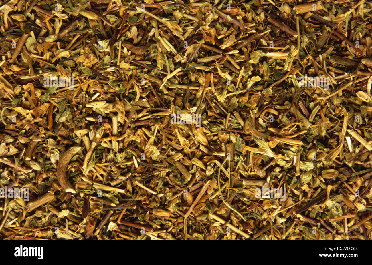 Pianta medicinale euphrasia officinalis foglie Augentrost essiccato e tagliato Foto Stock