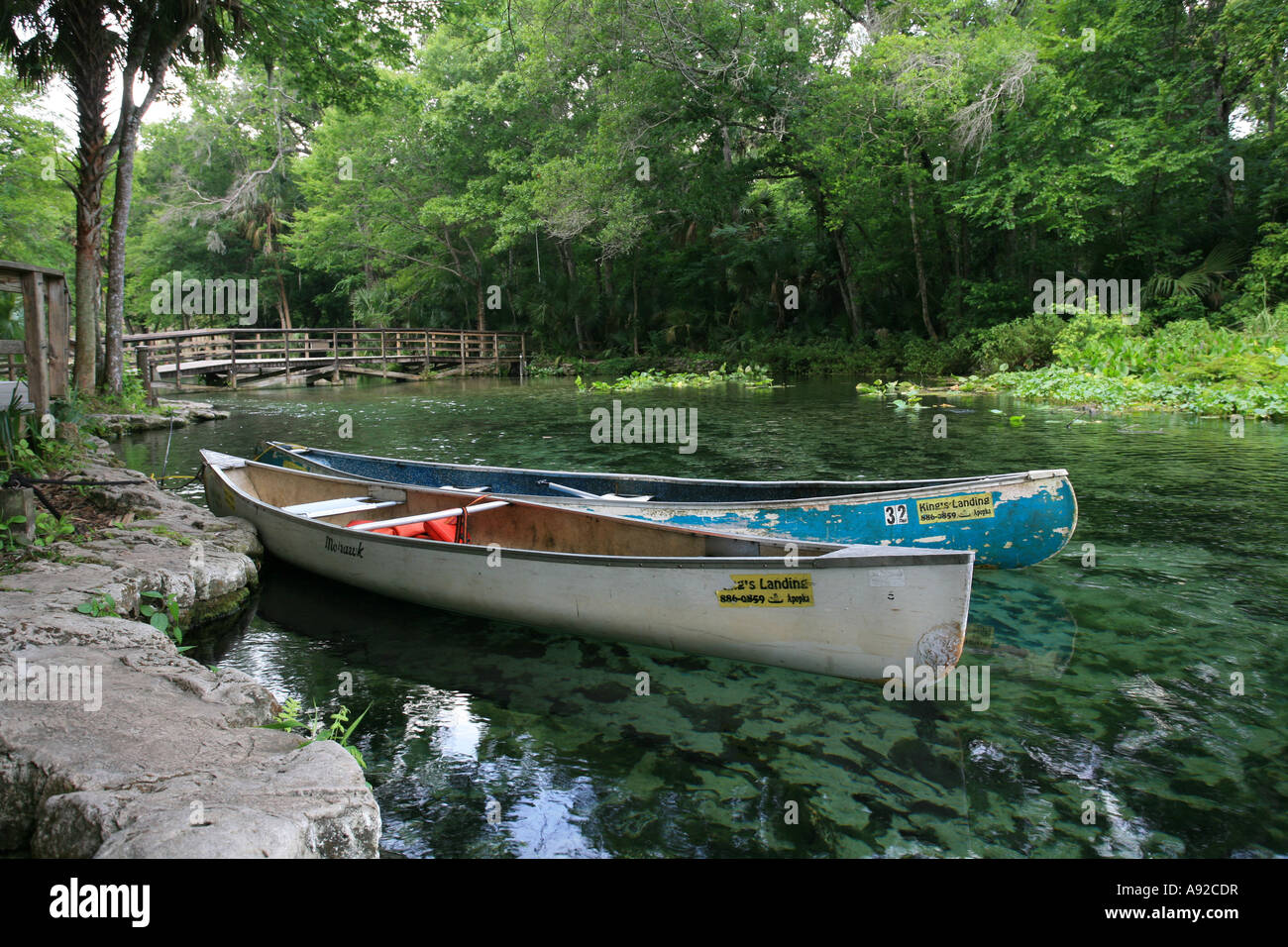 Canoe a Wekiwa Springs vicino a Orlando produce acqua dolce proveniente da la falda acquifera della Florida, Florida, Stati Uniti d'America Foto Stock