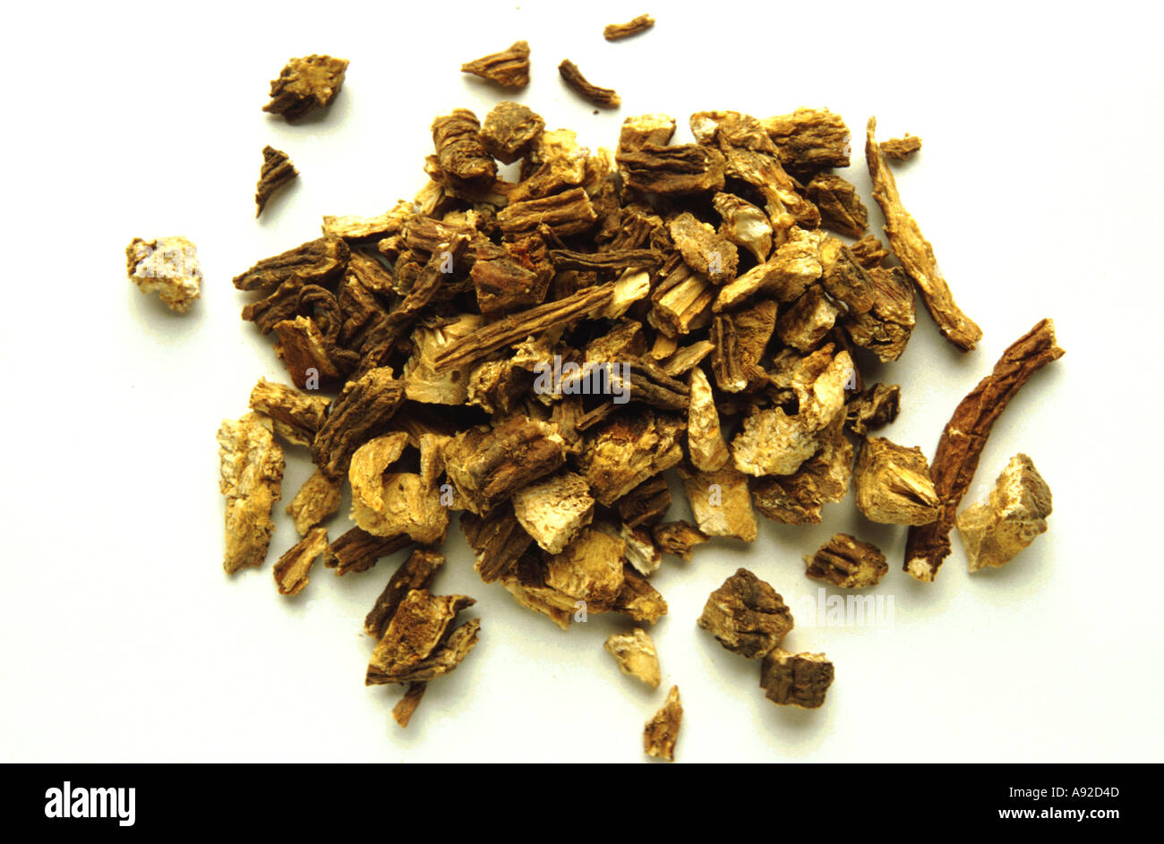 Pianta medicinale radice essiccate di Angelica Angelica sinensis Foto Stock