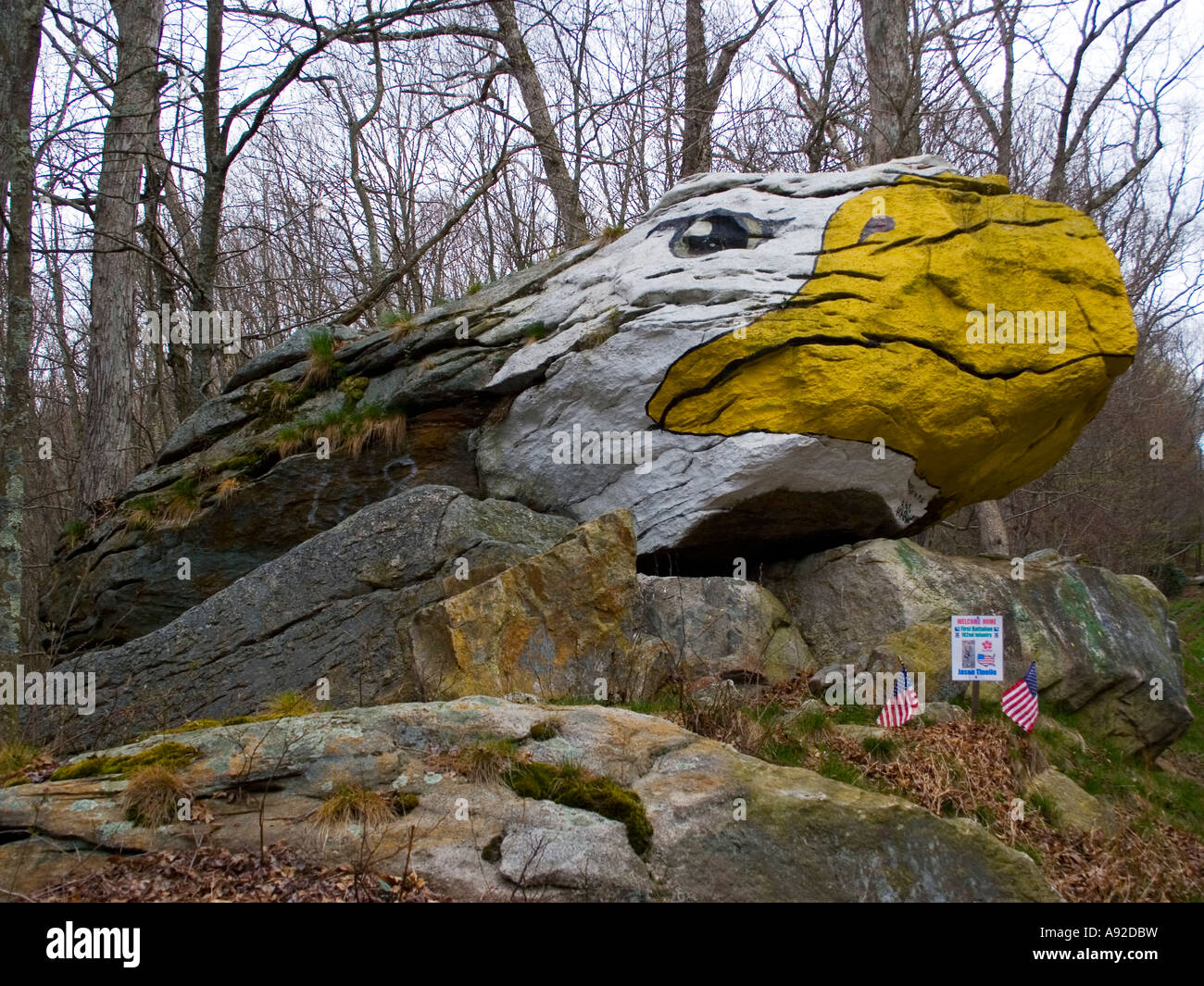 L'aquila dipinta su una roccia nel Connecticut è un esempio impressionante di arte popolare lungo la strada, che aggiunge fascino e carattere al paesaggio locale. Foto Stock