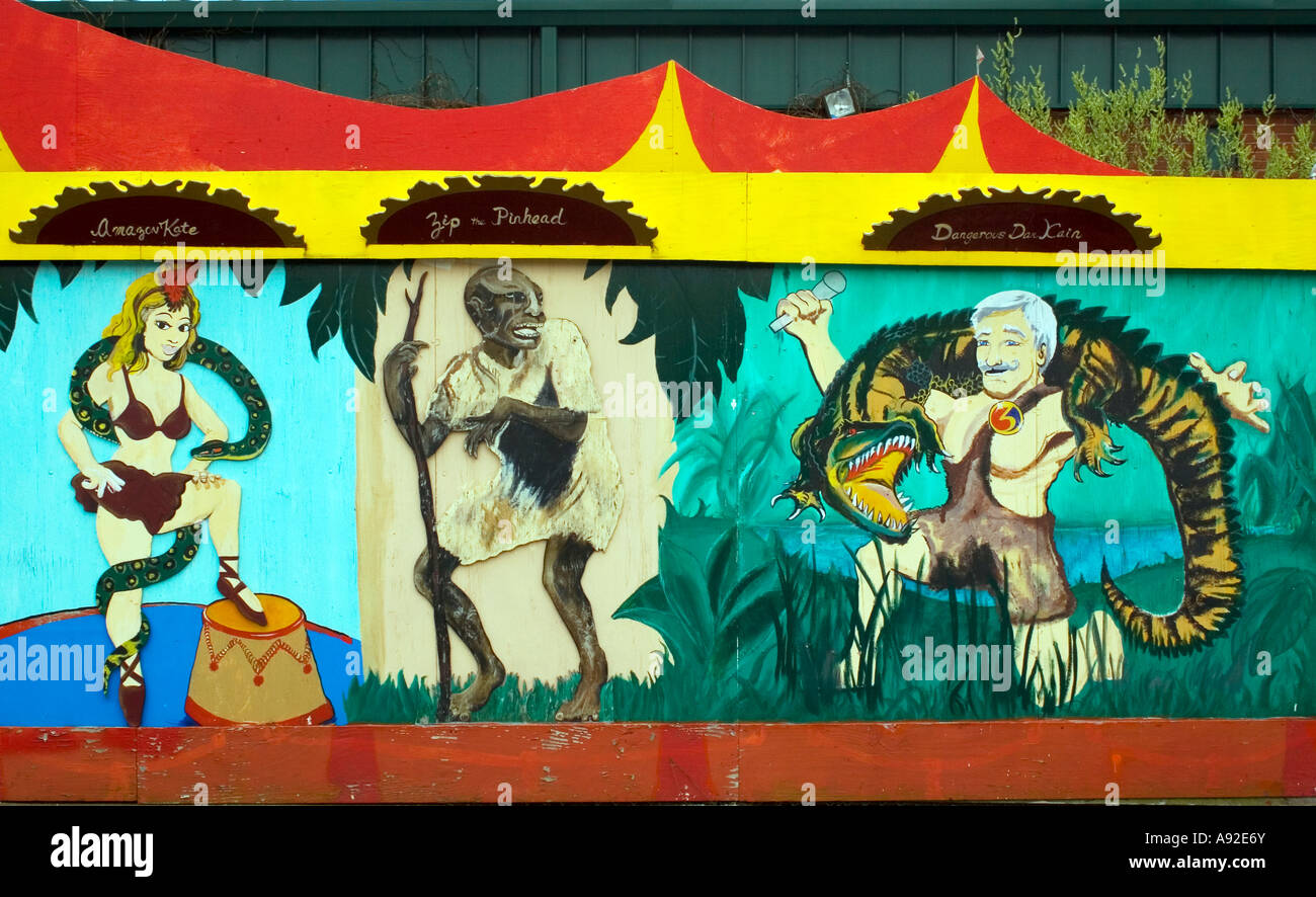 Wild Bill's a Middletown, Connecticut, è un negozio bizzarro sulla strada ricco di cultura pop, stranezze e tesori vintage. Foto Stock