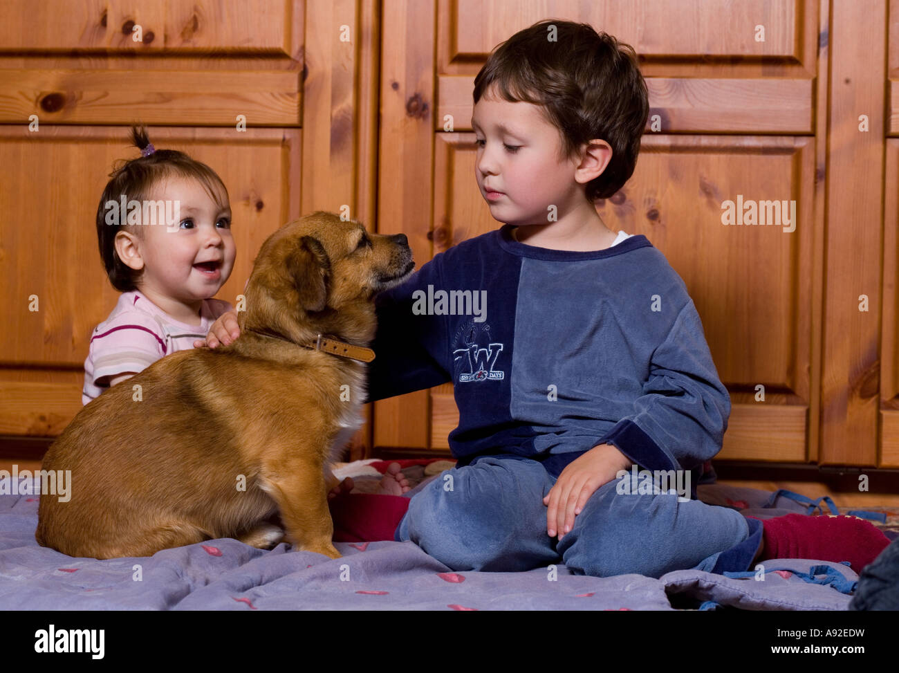 Sorella e fratello gioca con un cane Foto Stock