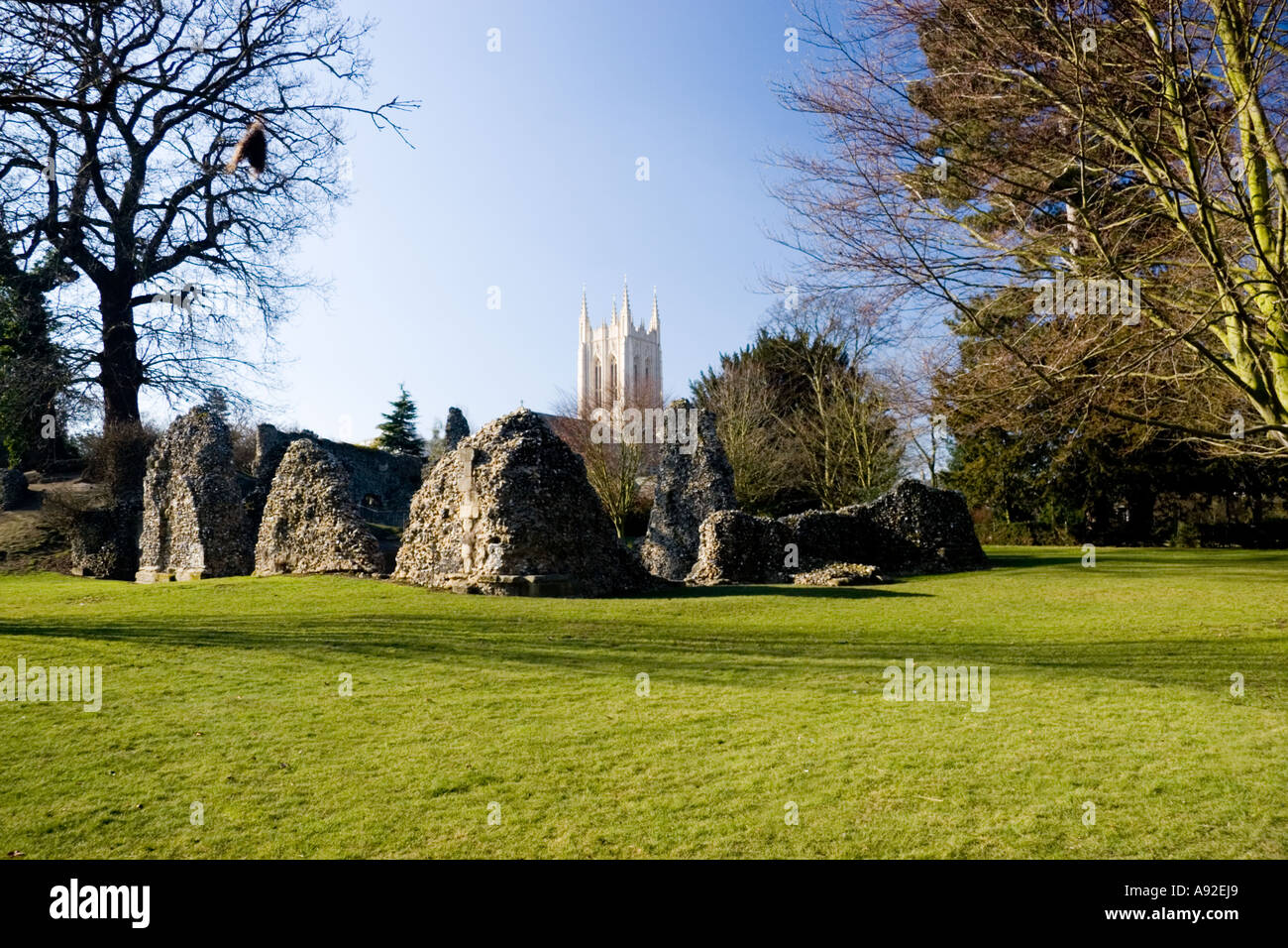 La torre della lanterna di St Edmundsbury Cathedral con le rovine dell'Abbazia normanna in primo piano Bury St Edmunds Suffolk REGNO UNITO Foto Stock