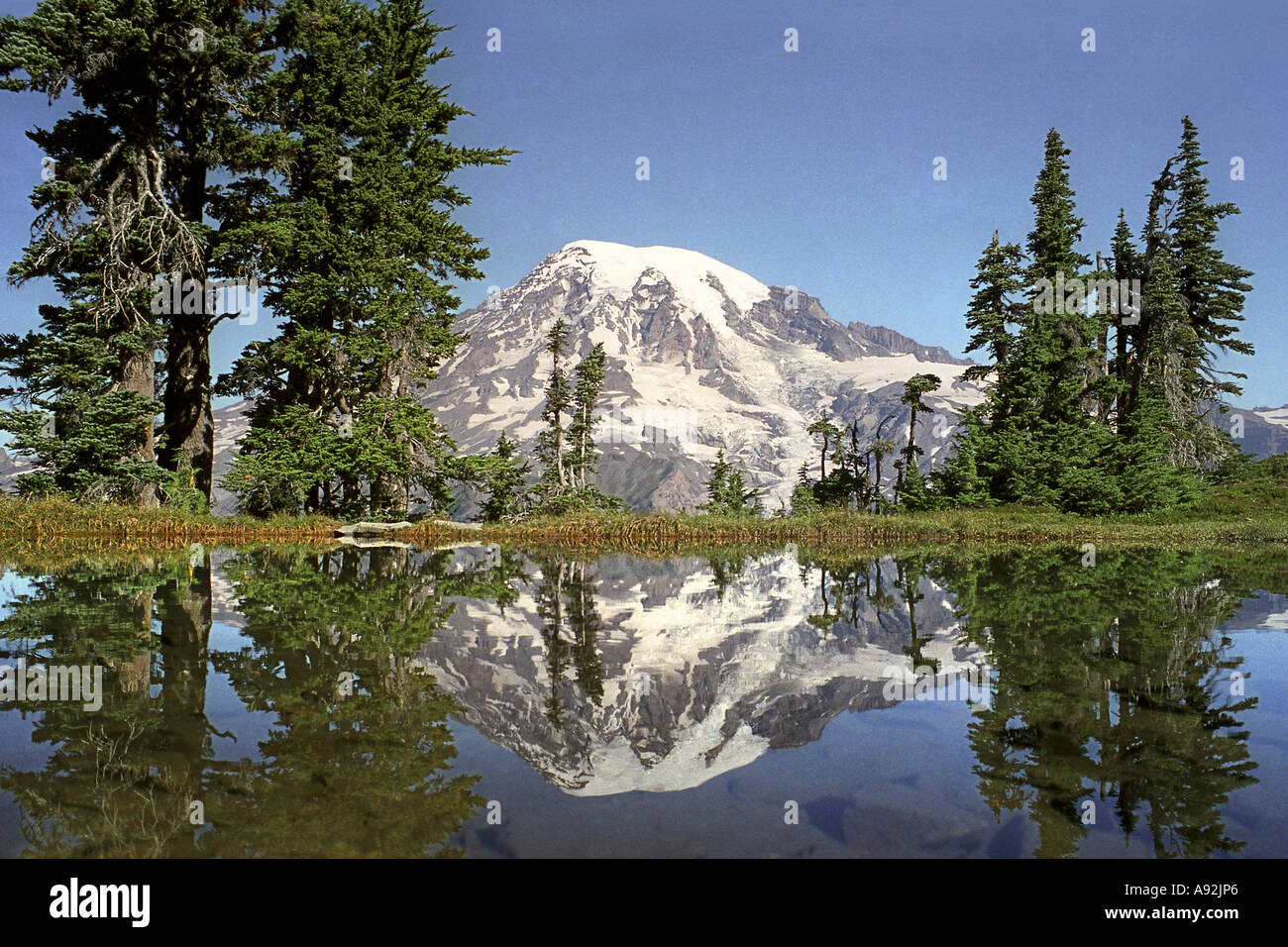 Mount Rainier Mount Rainier National Park Washington STATI UNITI D'AMERICA Foto Stock