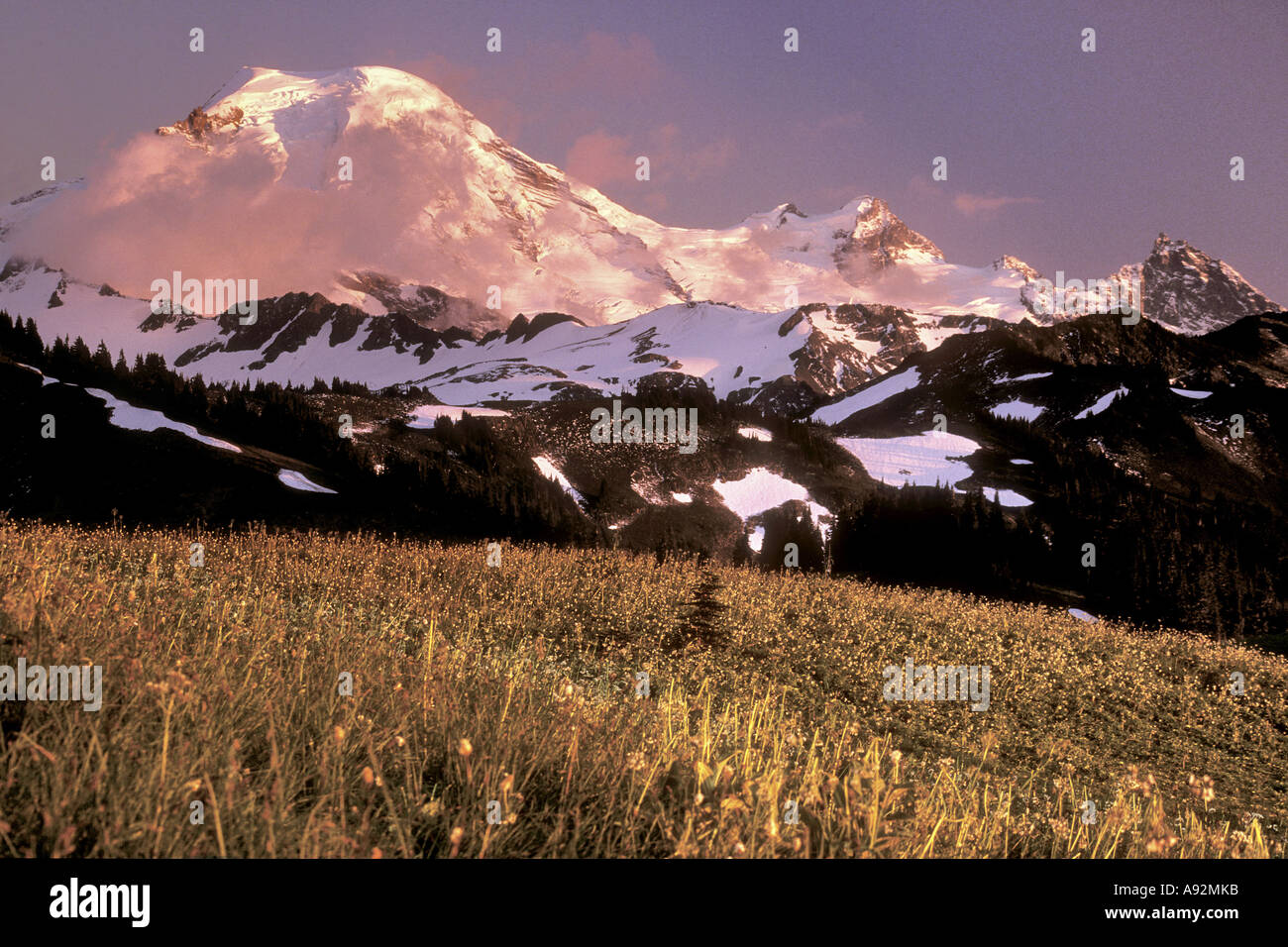 Mount Baker Washington STATI UNITI D'AMERICA Foto Stock