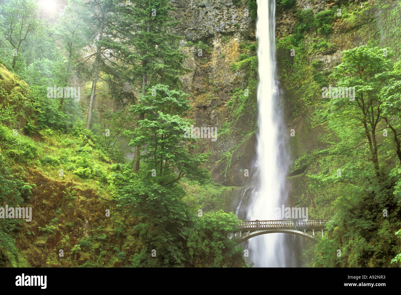Cascate Multnomah Columbia River Gorge National Scenic Area Oregon USA Foto Stock