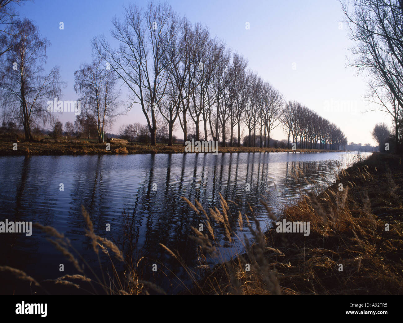 Elba Lubeck Canal Inverno View Near Dalldorf Schleswig Holstein Germania Foto Stock