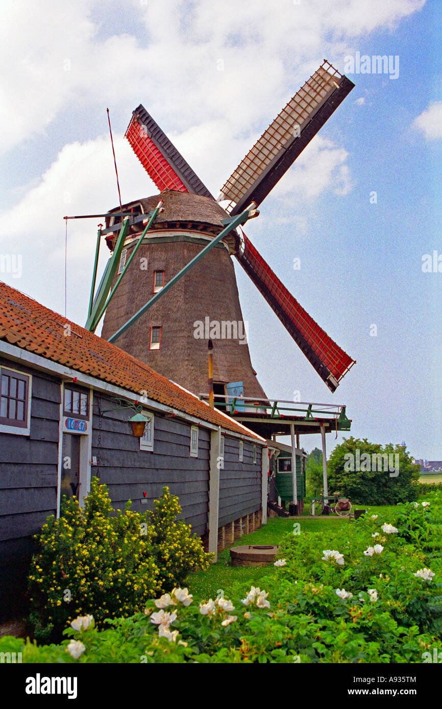 Holland Olanda Zaanse Schans Windmill vista posteriore. JMH0054 Foto Stock